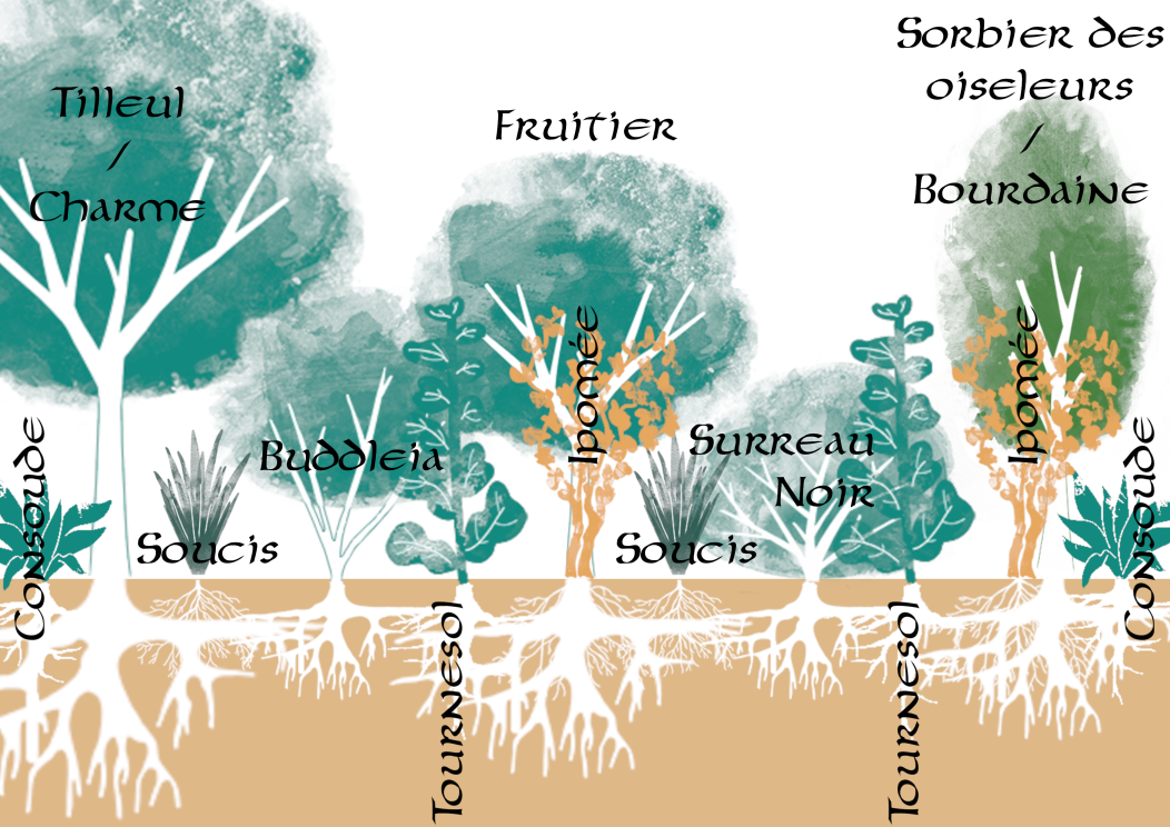 Le Bosquet Fruitier