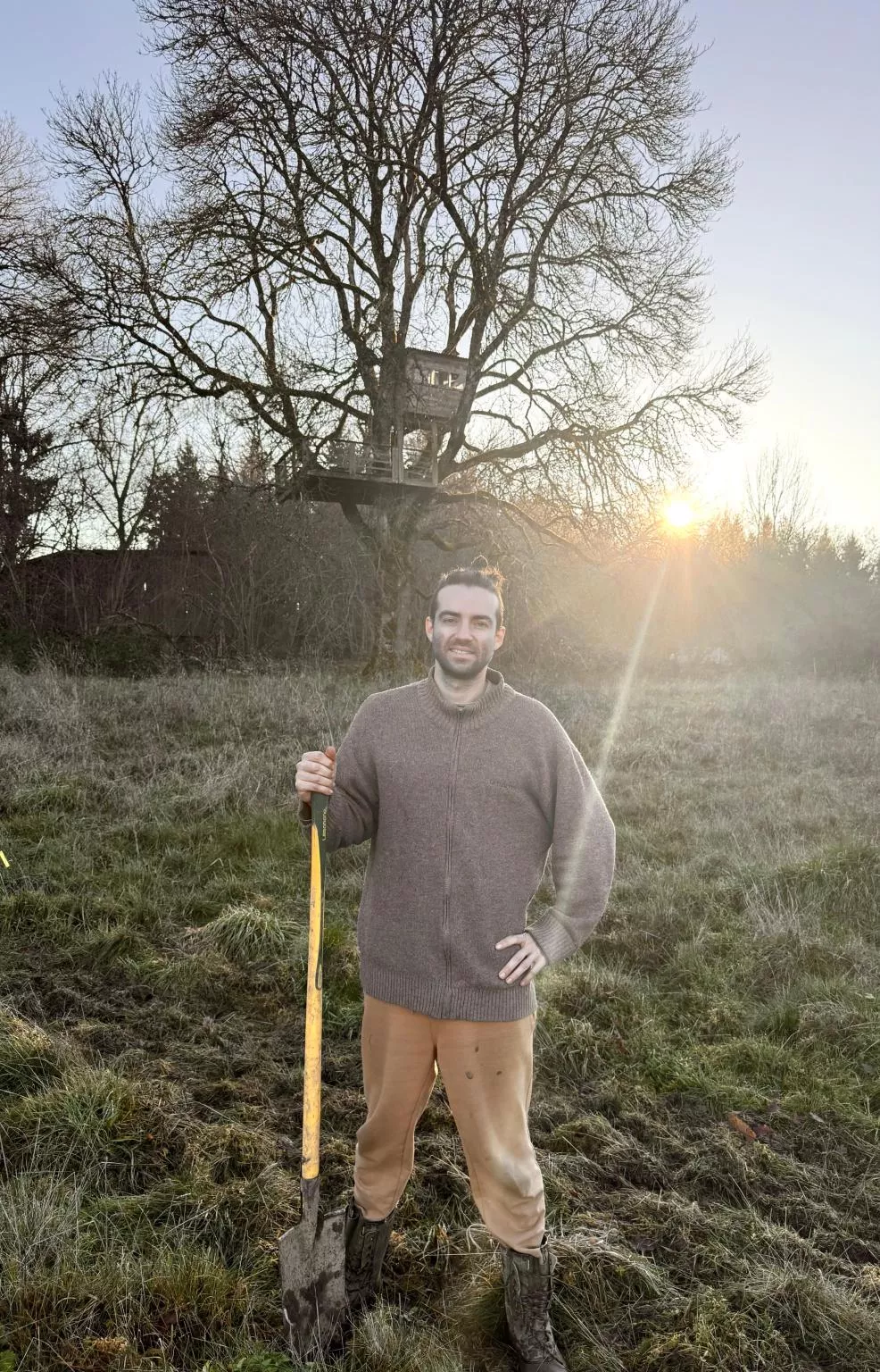 Plantations d'hivers